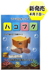 ハコフグ