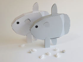 マンボウ箱