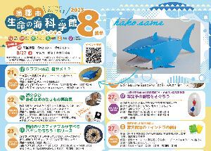 サメ展 クラフトサメ